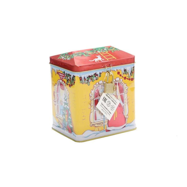 Tin Saving Bank With Roof Top